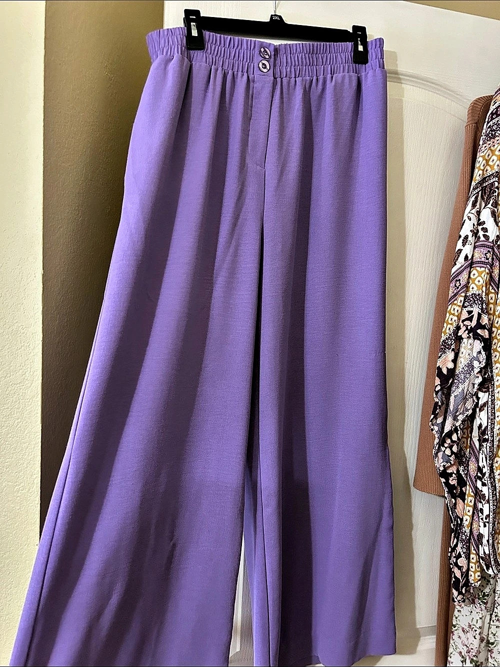 Francois & Bernard Wide Leg Pants in Purple Size XL Like New